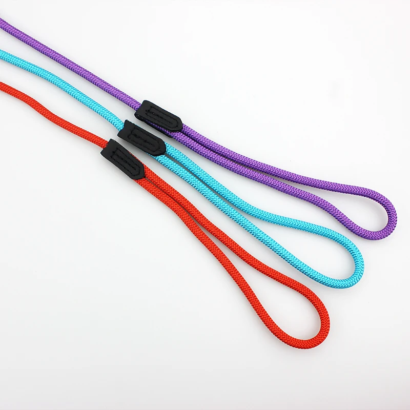 dog leash 4