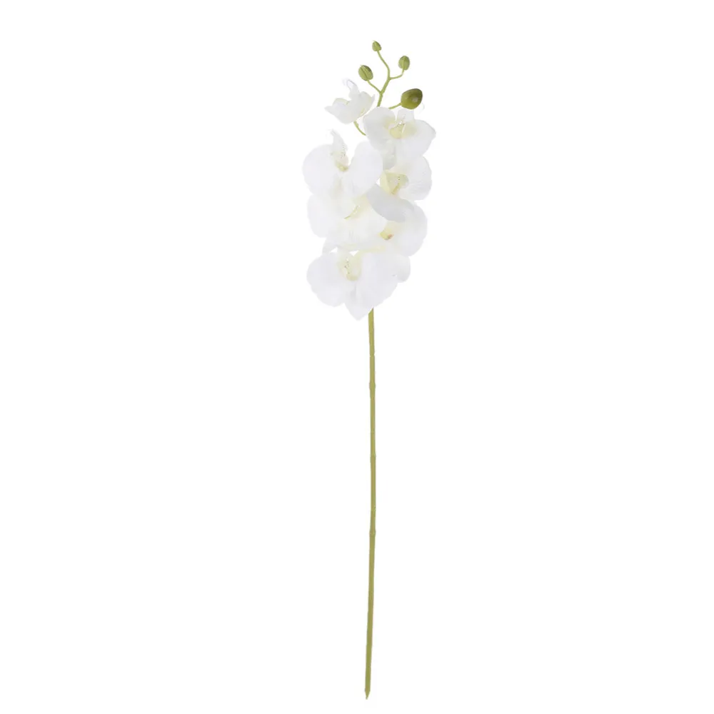ZS313Milkwhite (1)