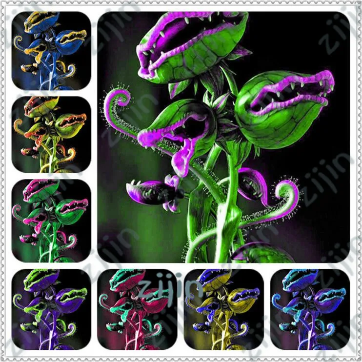 

200pcs Potted Insectivorous Plant bonsai Dionaea Muscipula Giant Clip Venus Flytrap bonsai For Home Garden Free Shipping