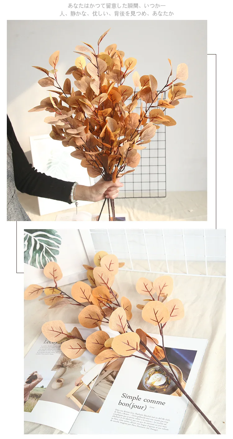 9662989111_1245478559