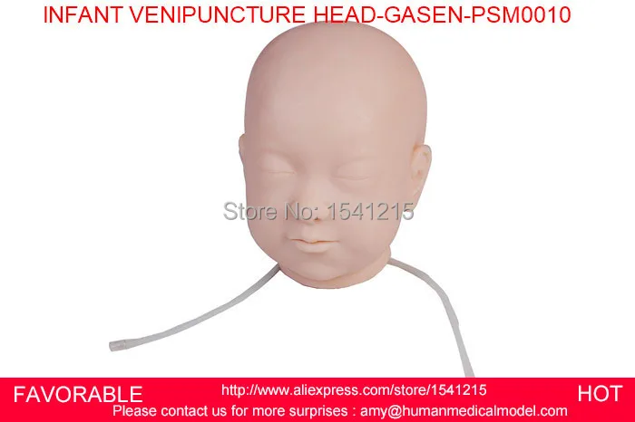NURSING MANIKININ,FANT COMPREHENSIVE VENIPUNCTURE HEAD, BABY HEAD VEIN PUNCTURE MODEL ,INFANT VENIPUNCTURE HEAD-GASEN-PSM0010 NURSING MANIKININ,FANT COMPREHENSIVE VENIPUNCTURE HEAD, BABY HEAD VEIN PUNCTURE MODEL ,INFANT VENIPUNCTURE HEAD-GASEN-PSM0010