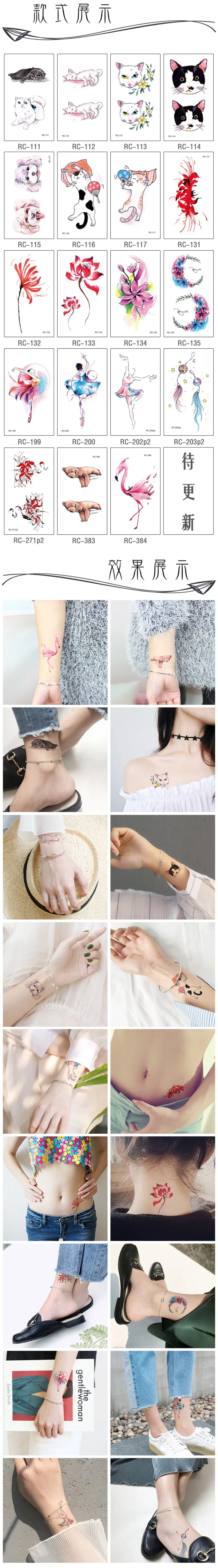 8546094519_873956450