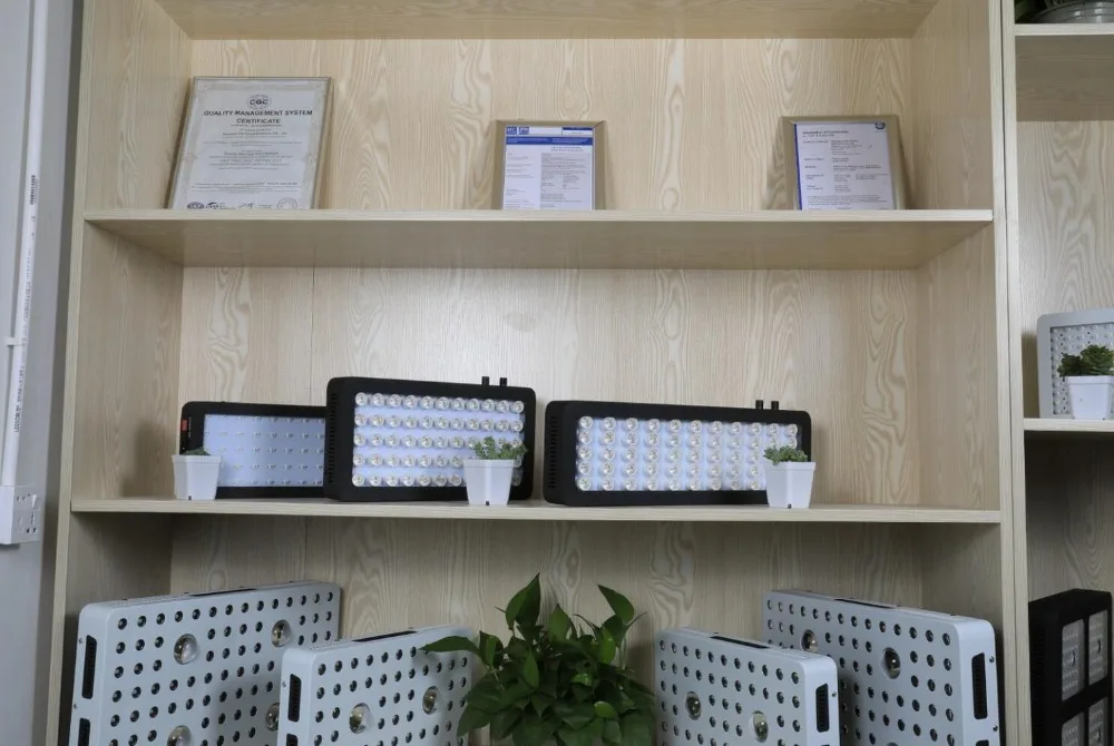 showroom7