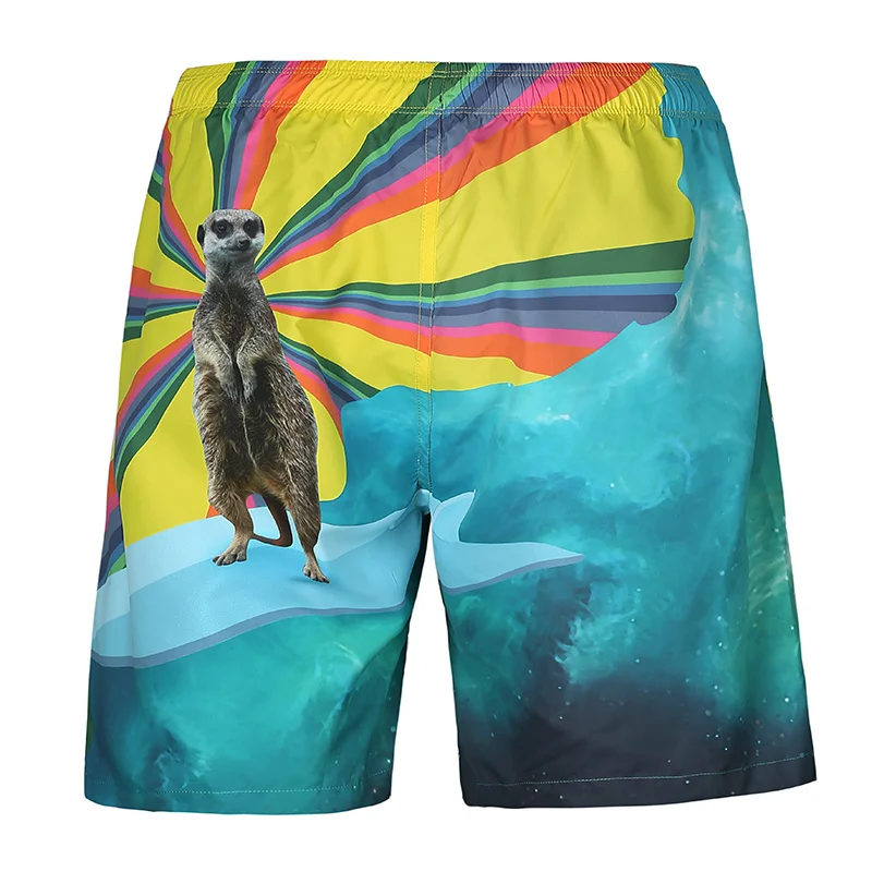 2017 Повседневное Для мужчин Шорты для женщин пляжные Пляжные шорты для будущих мам Для мужчин быстрое высыхание Летний стиль сплошной