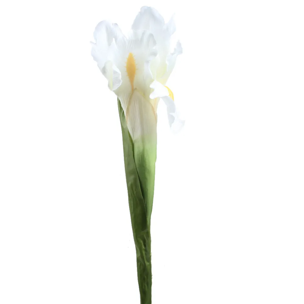 2GYH-YW-WHT-1 (4)