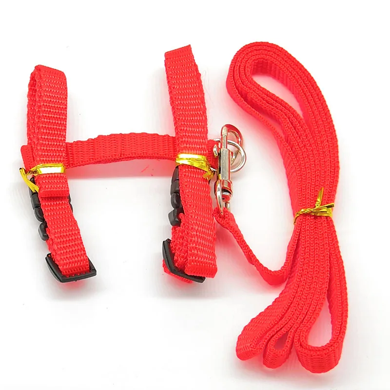 01 red Шлейка для кошек и поводок для котенка Регулируемый Pet тяги жгут ремень кошка Холтер воротник без картона - Цвет: 01 red