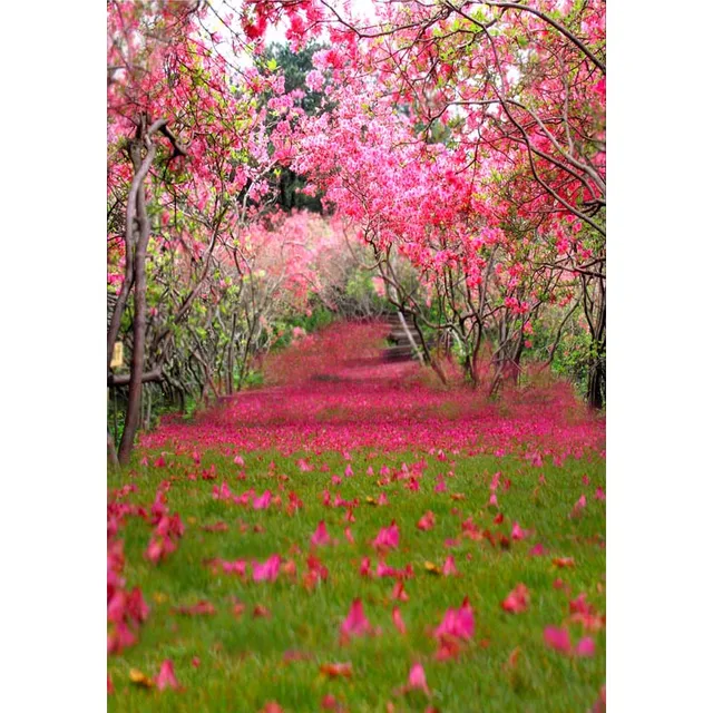 Sottile Vinile Foresta Prato di Fiori Fondali Sfondi Fotografia ... Sottile Vinile Foresta Prato di Fiori Fondali Sfondi Fotografia ...
