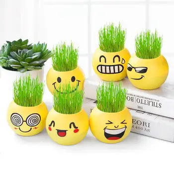 

6PCS Mini Doll Bonsai Glass Seedsplants Door Room Cute Emoticon Bonsai Planten Pot Perennial Plants for Home Garden Decor