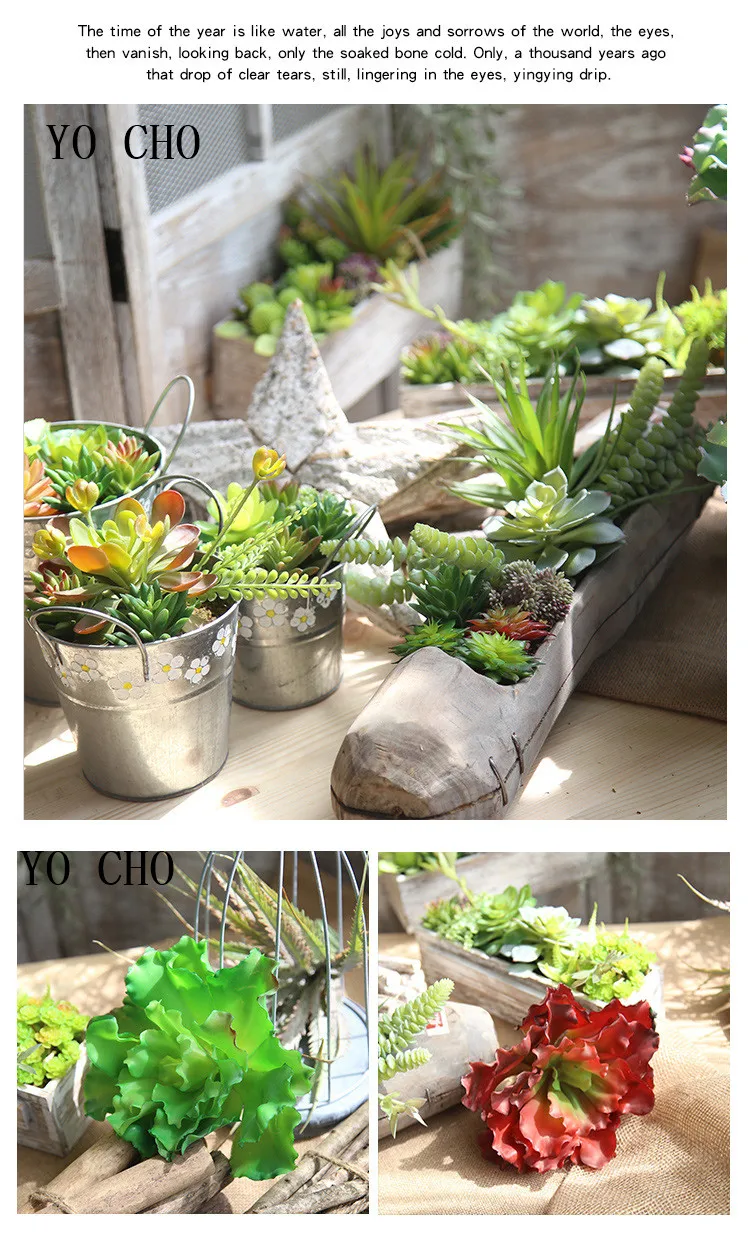 Simulation meaty plants 10
