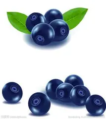 t015aa31a39afde897c