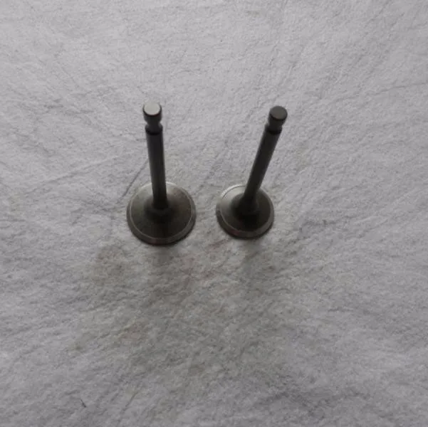 INTAKE&EXHAUST VALVES SET HONDA GX420 190F 2