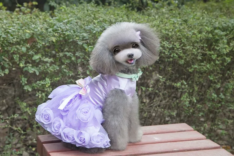 Роскошное розовое свадебное платье принцессы для собак юбка-пачка летняя одежда для маленьких собак розовый/фиолетовый