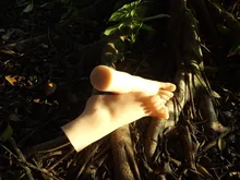 HOT-selling The most popular women foot adult sex toys&whitening skin lover feet model free shipping