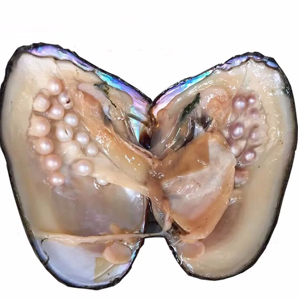 Wholsale Natural Freshwater Love Wish Pearls 5-8 mm Vacuum Packaging Real Natural Pearl Oysters Gift about 25 Pearls