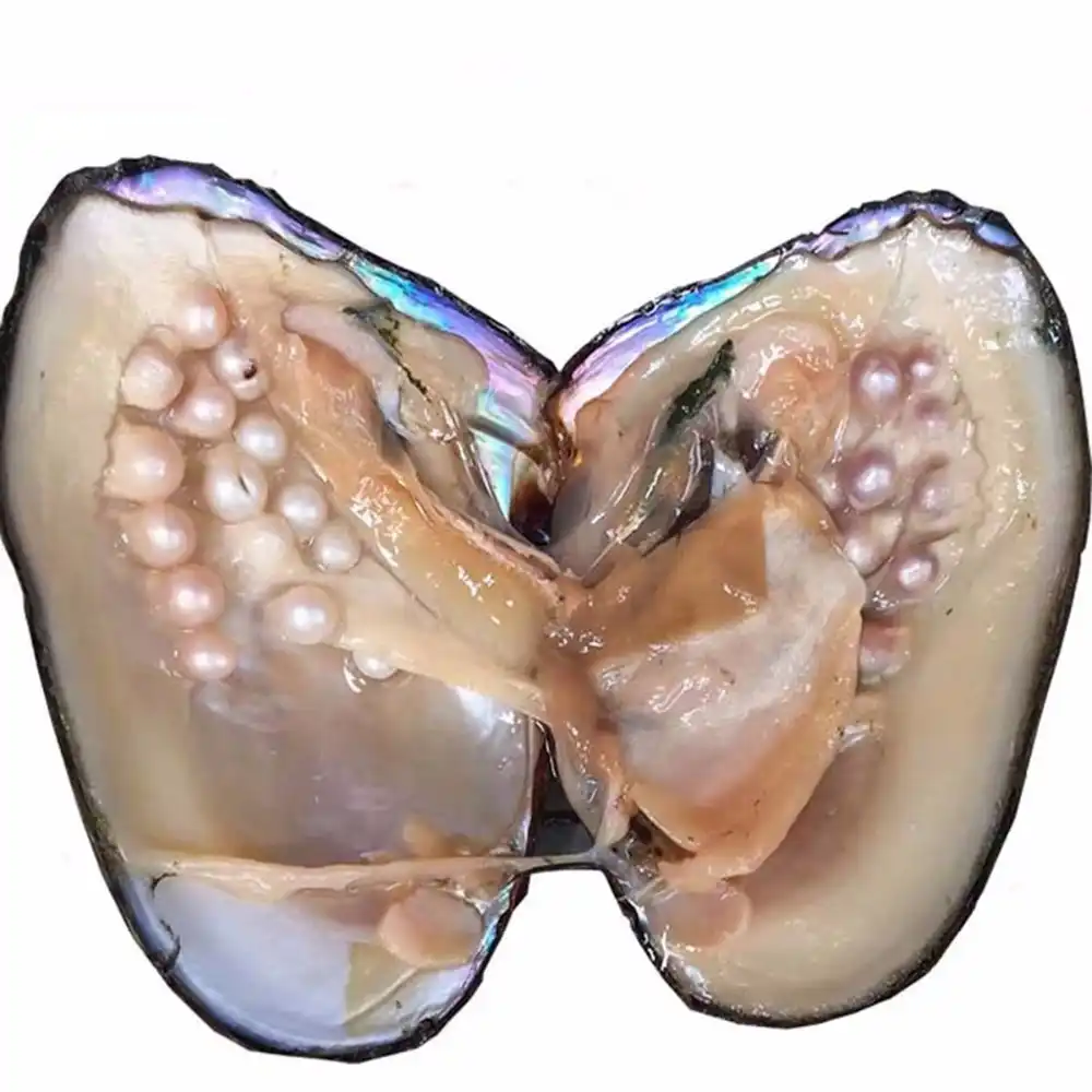 Wholsale-Natural-Freshwater-Love-Wish-Pearls-5-8-mm-Vacuum-Packaging-Real-Natural-Pearl-Oysters-Gift.jpg_q50.jpg