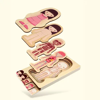 

Kindergarten Human Structure Early Education Teaching Aids Boys Girls Wooden 3D Puzzle Multilayer Jigsaw Puzzles Toys for Baby