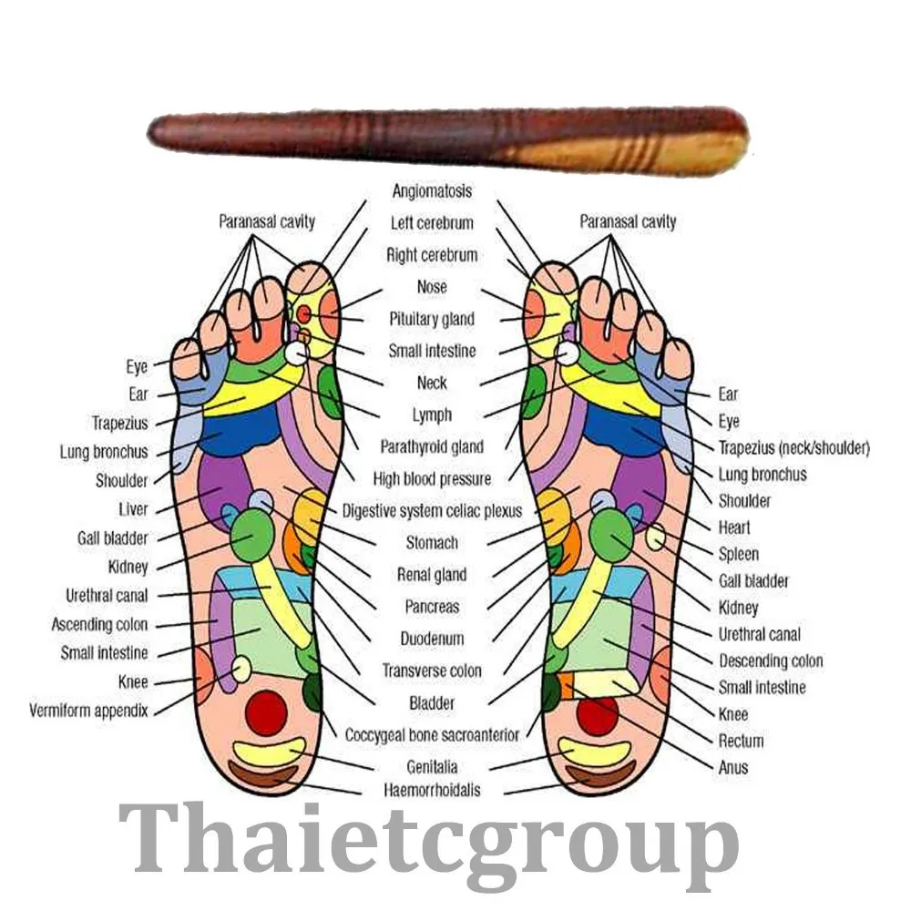 [Fly Eagle] 1 X Рефлексология здоровья тайский массаж ног деревянная палочка Инструмент с диаграммой