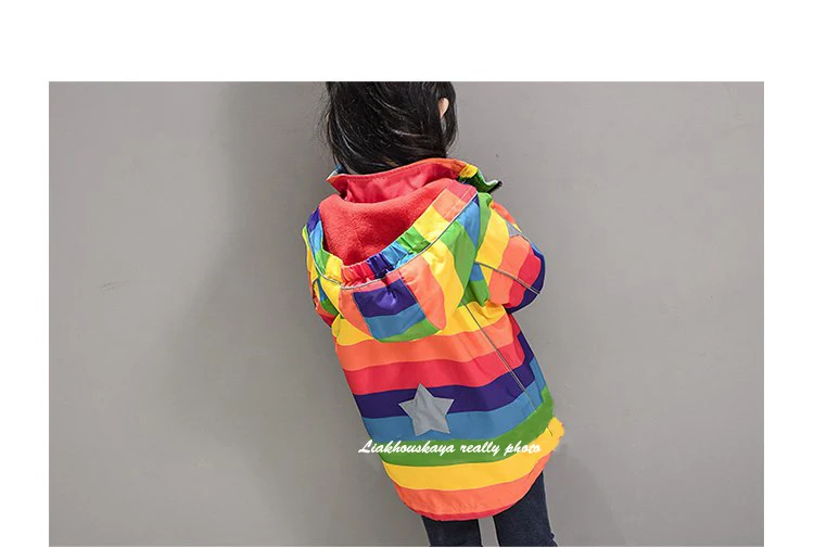 1013--561320204975_detail_8