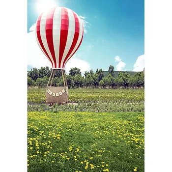 

Backdrop Printed With Sunshine And Grass Digital Photography Backgrounds Vinyl Fire Balloon Props Wedding Digital Backdrops