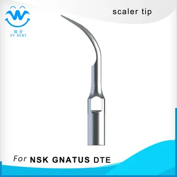 

5pcs GD1, Dental Ultrasonic Scaler Tips compatible with Satelec Woodpecker-DTE