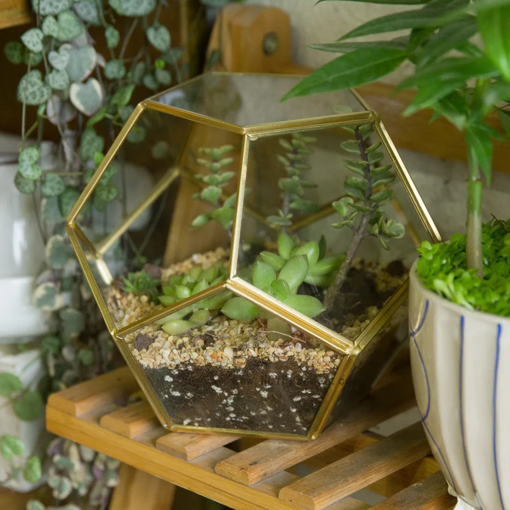 Buy Geometric Iron Flower Vase Terrarium