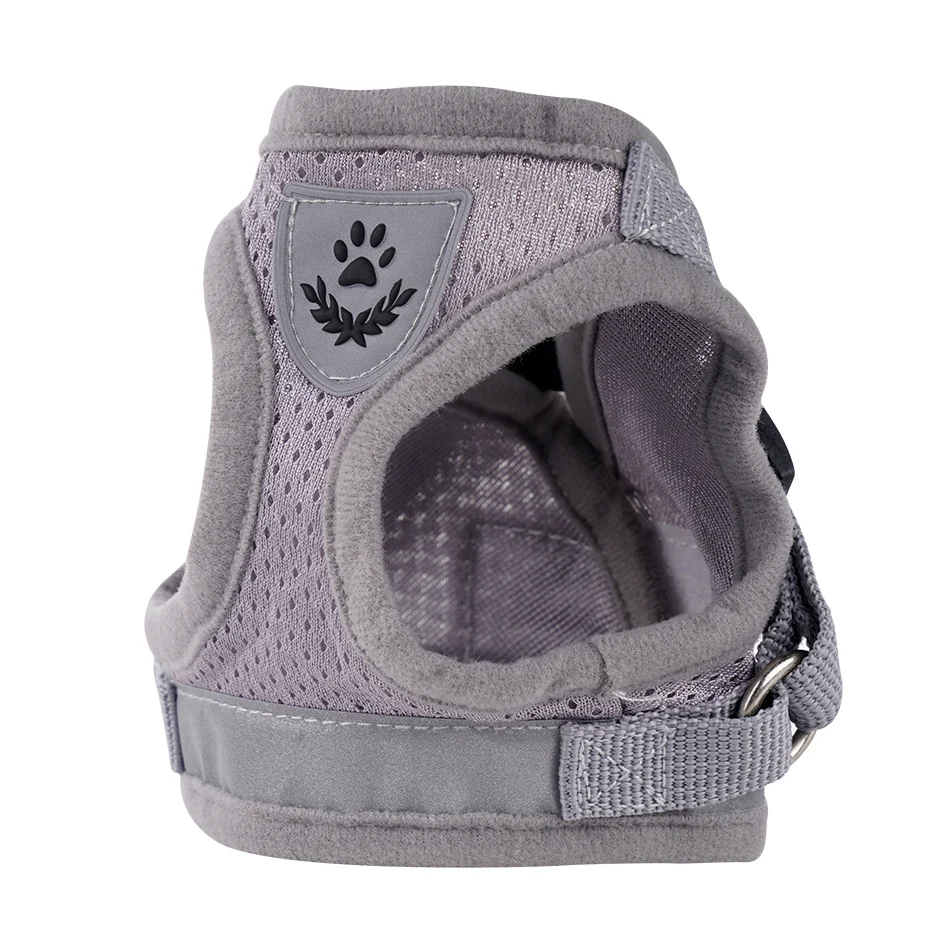 leash for dogs