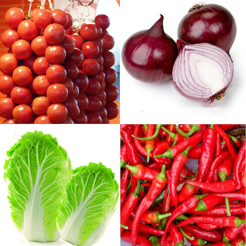 

400pcs Tomato Giant Onion Pepper Cabbage Healthy Vegetables food plant (MIxed Sale Big Discount) for home garden