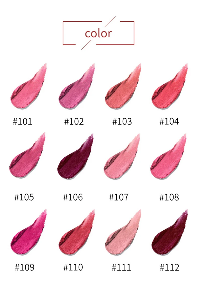 New Matte Lipstick 12color Easy To Wear Waterproof Long-lasting Matte Lip Gloss Lipstick Lady Sexy Lipstick Lip Balm TSLM2