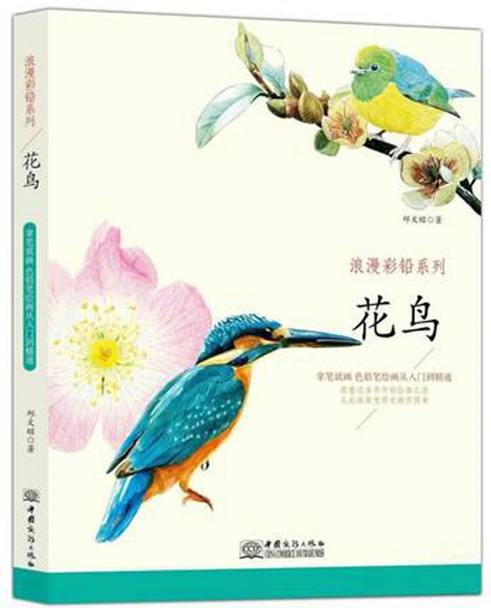 Chinois Couleur Stylo Crayon Dessin livre sur Belle Fleur et Oiseaux chinois art techniques Peinture