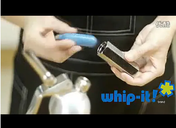 Whip Coffee Dessert Fresh Cream Butter Whipper Dispenser 500Ml Cream Gun High Grade Stainless Steel Cream Whipper