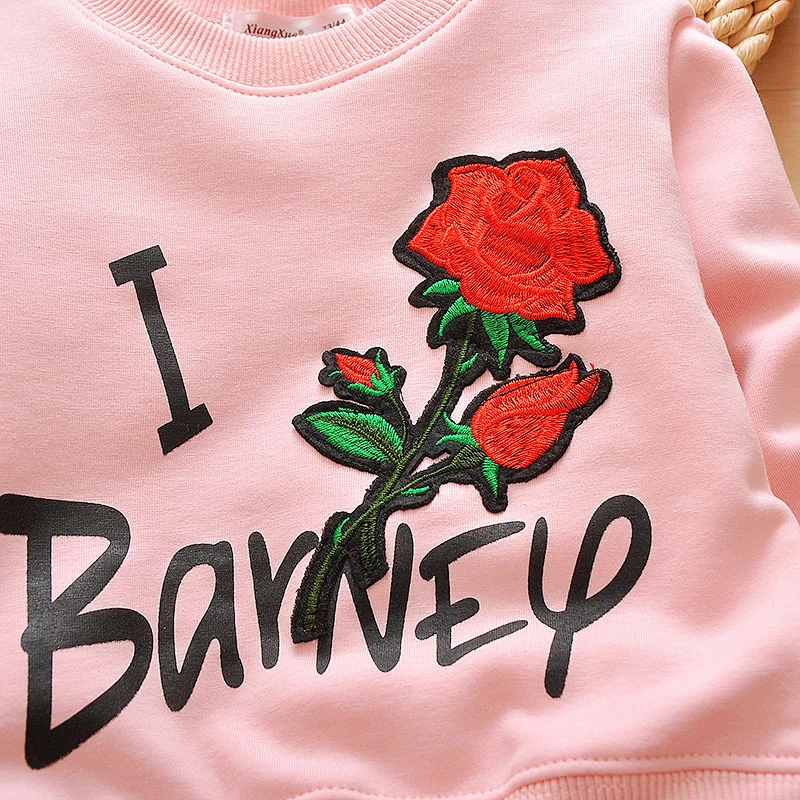 TB24NjHeK38SeJjSZFPXXc_vFXa_!!1030285733