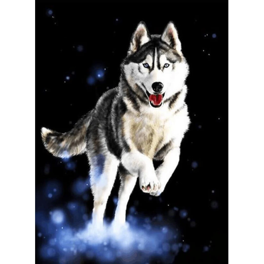 

BAISITE DIY Framed Oil Painting By Numbers Animal Pictures Canvas Painting For Living Room Wall Art Home Decor S053