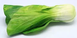 Jouets d'émulation de légumes verts en plastique, modèles de Simulation de légumes verts, petits ensembles de cuisine, modèle Pu légumes aliments, outils d'enseignement pour enfants 