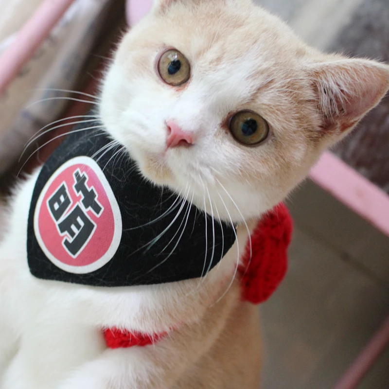 

[MPK Store] Creative Cat, Dog Collar with 10 different Chinese Phrases, Cat Collar