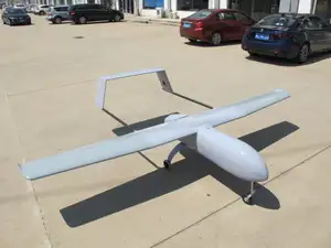 petrol remote control plane