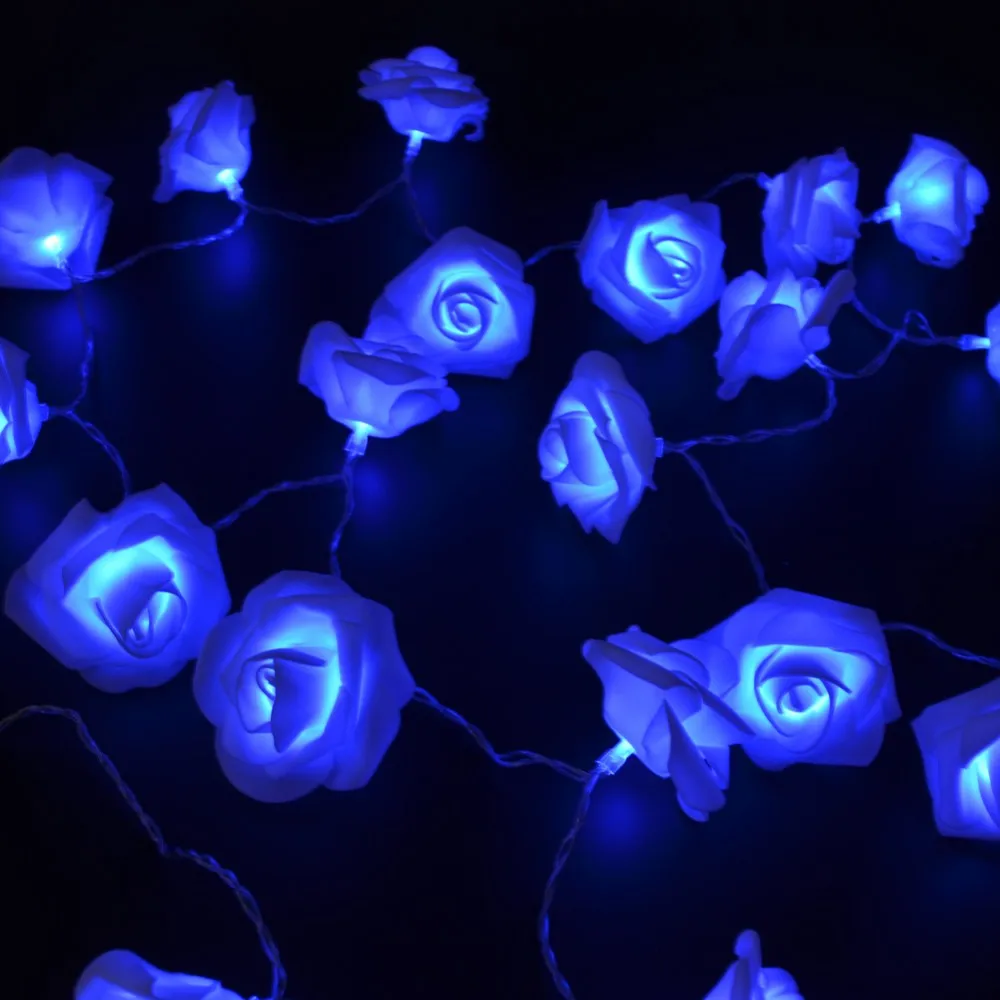 AA Battery Rose Blue (16)