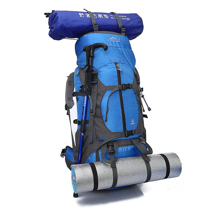 

Outdoor Travel Camp Equip Waterproof Mountaineering Hiking Backpacks 60L Professional Climb Backpack