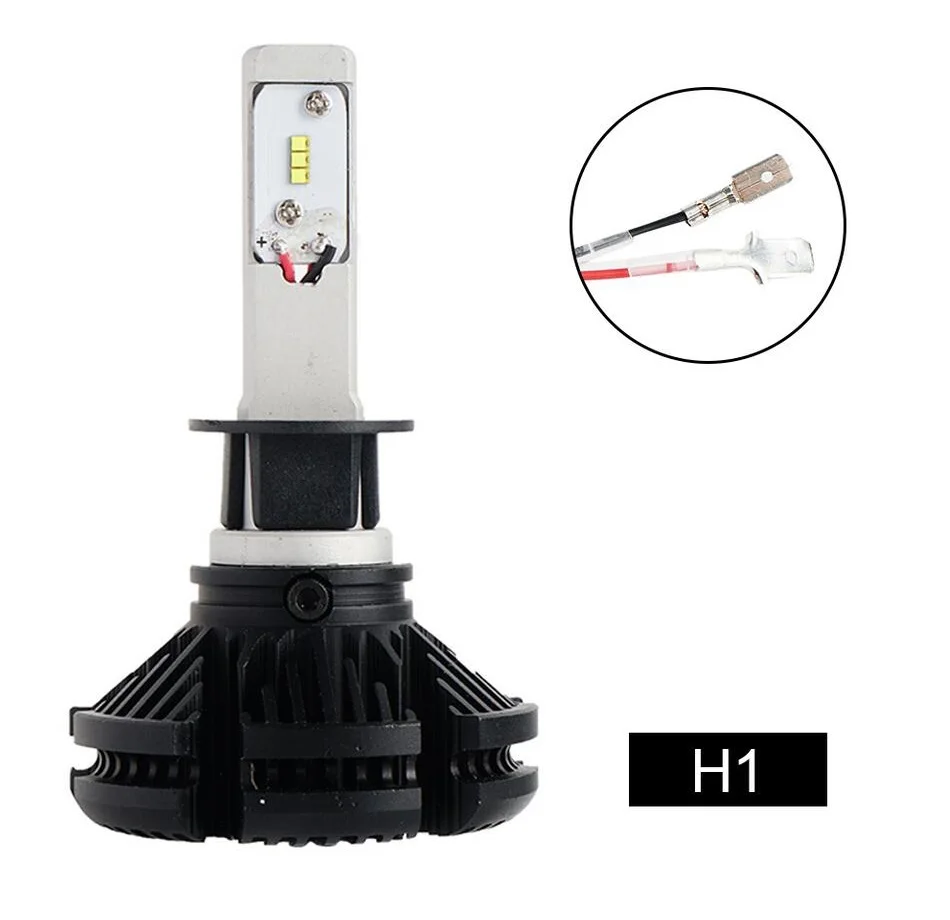 H1