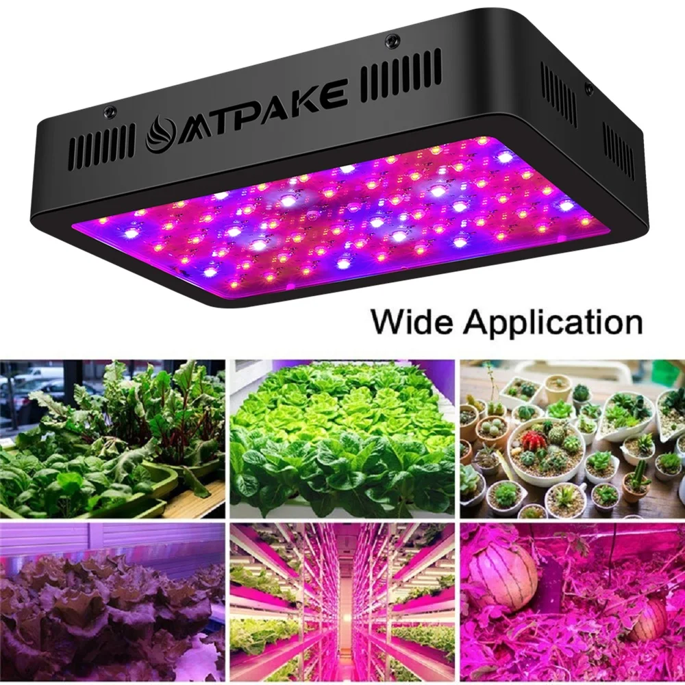 600W .