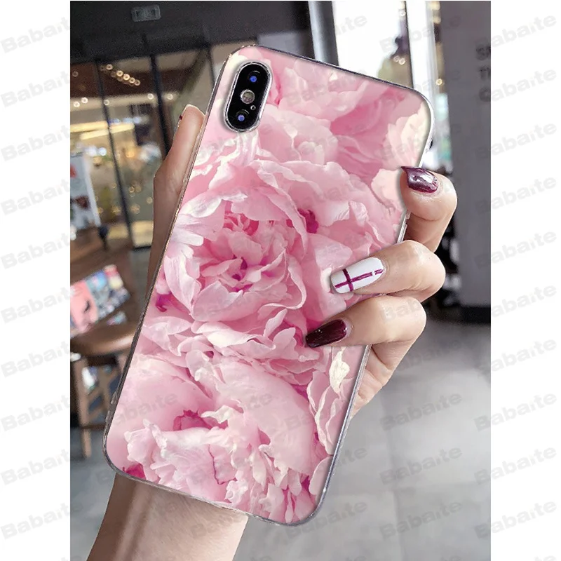 Pink Purple Peony