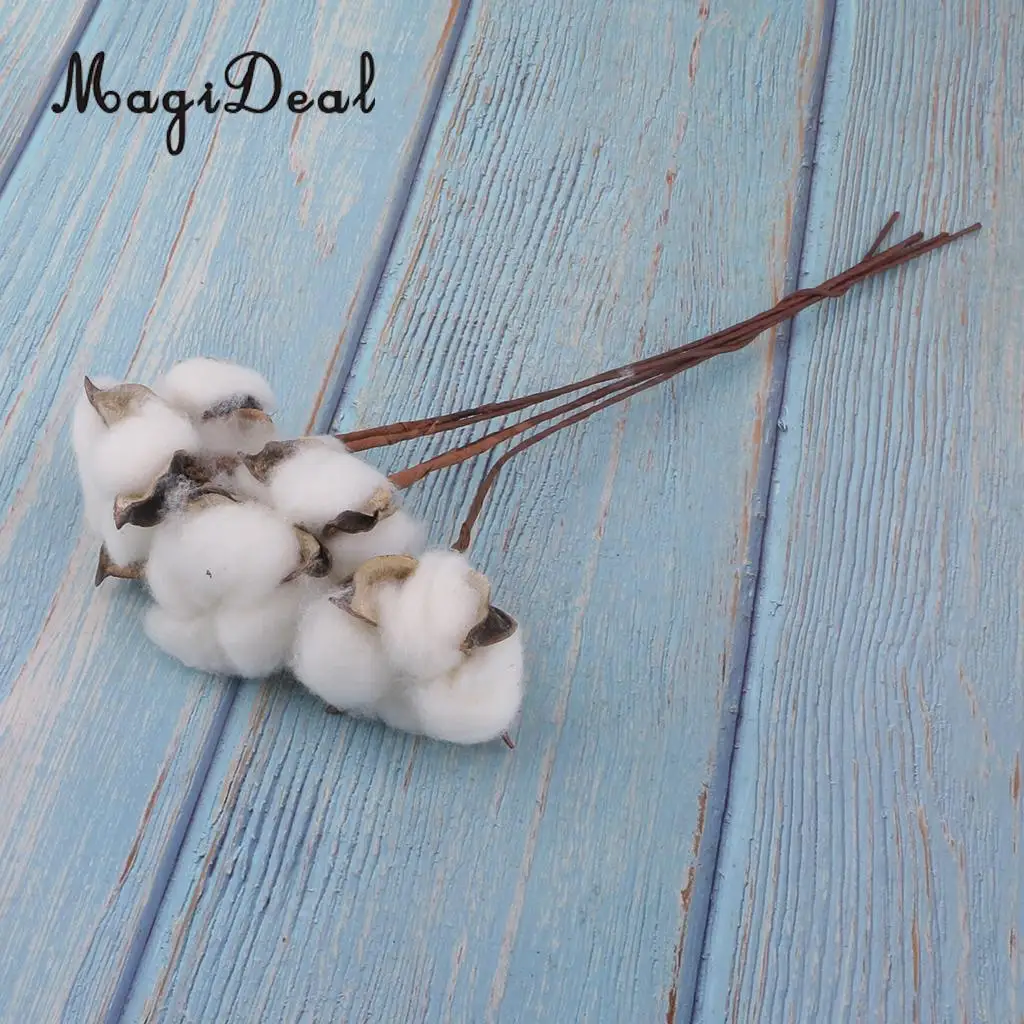 5pcs Decorative Dried Flowers Natural Cotton Stem Branch Plants