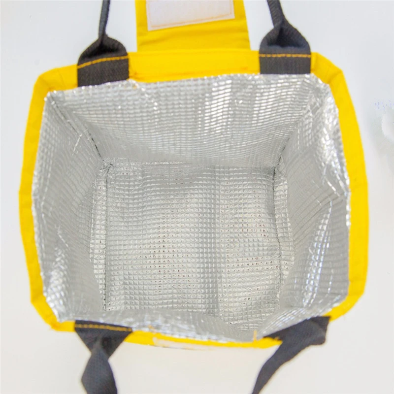 Cartoon Picnic Bags Portable Insulated Tote Lunch Bag Thermal Food Storage Container Bag For Outdoor Camping Hiking Students