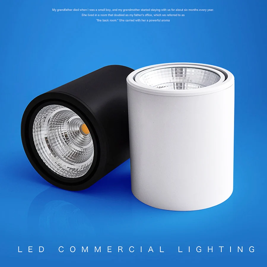 

Hoonia LED Downlight Surface Mounted Downlight COB 5W 7W 10W 12W 15W 20W High Quality Lamps Free Shipping