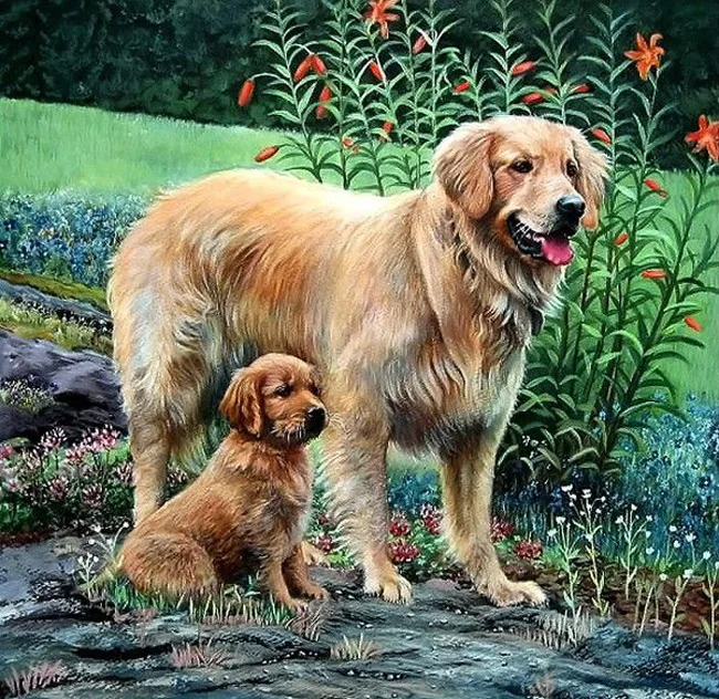 

new arrival 5d diamond painting full drill square Diamond"Golden Retriever"Cross Stitch Rhinestone Mosaic Painting deco maison