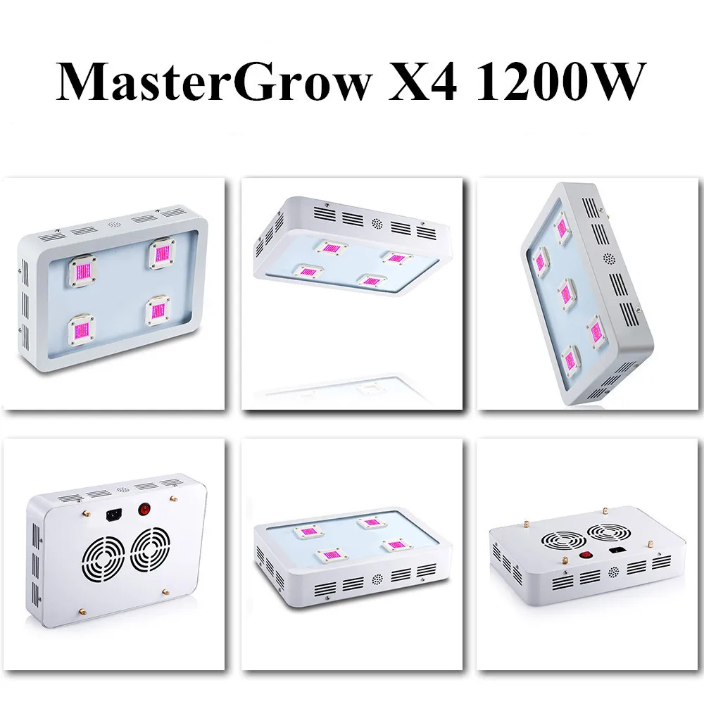 X4 (2)