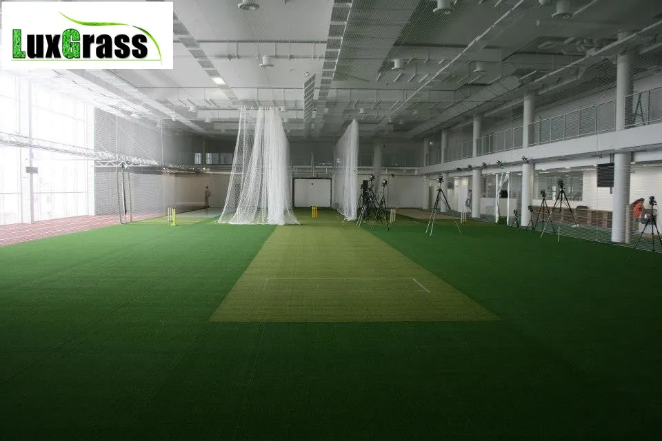 cricket turf (134)