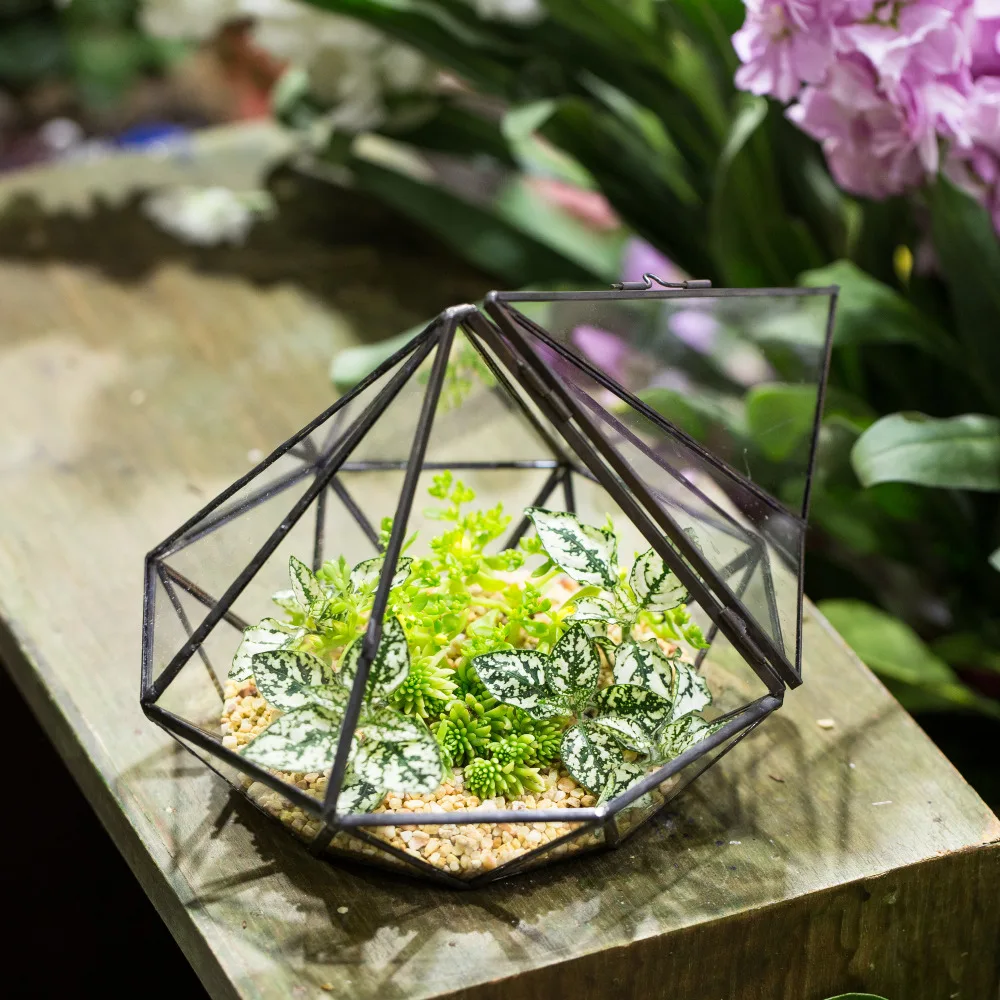 Garden Tabletop Diamond Glass Geometric Terrarium Indoor Balcony Display Planter Decorative