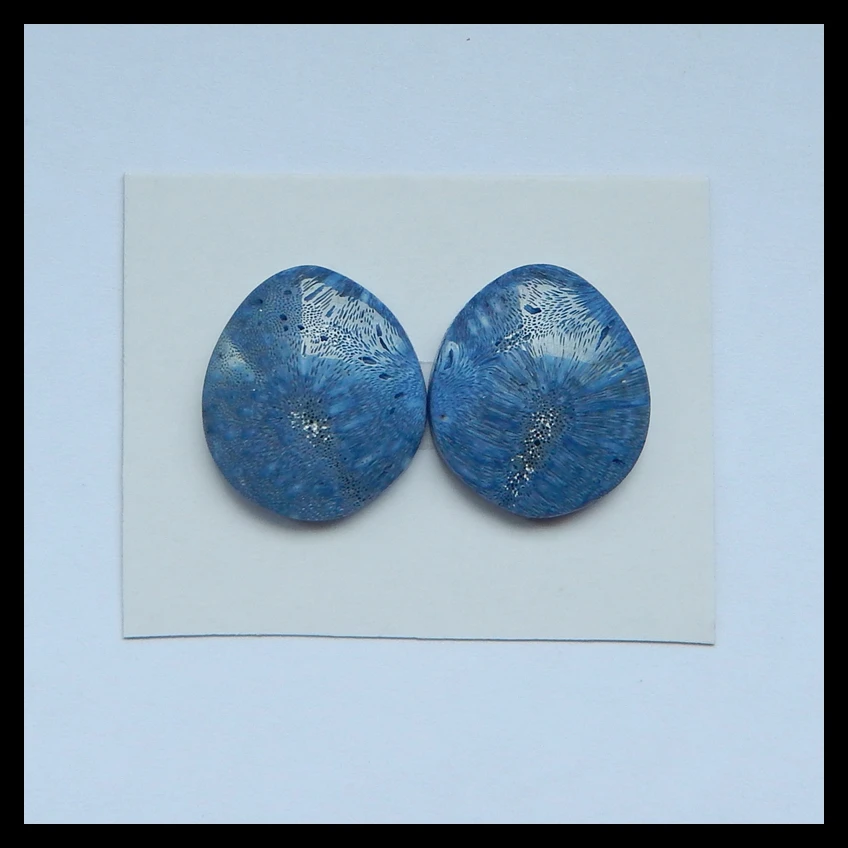 

1Pairs Natural Stone Blue Coral Freedom DIY Jewelry Fashion Cabochon 23x20x5mm 6.1g