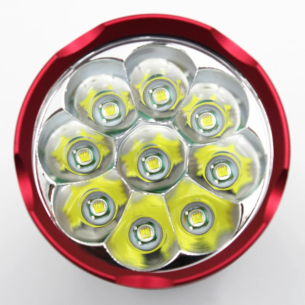 Flashlight (8)