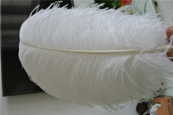 

EMS Free Shipping 100 pcs 22-24inch(55-60cm) pure White OSTRICH Plumes Ostrich Feathers plumes for Wedding centerpiece Costumes